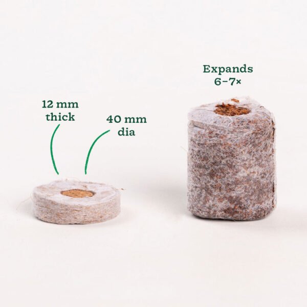 Coco Peat Coins--- Saptarshi