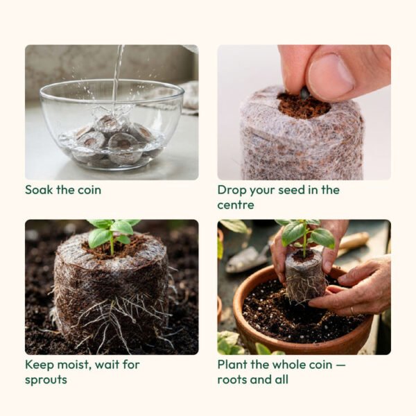 Coco Peat Coins--- Saptarshi